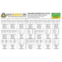 DIN 912 Zylinderschrauben-Sortiment Edelstahl A2 V2A M2 - M1