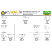 DIN 912 Zylinderschrauben-Sortiment Edelstahl A2 V2A M8 inkl
