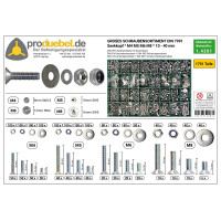 DIN 7991 Großes Senkschrauben-Sortiment Standard Edels
